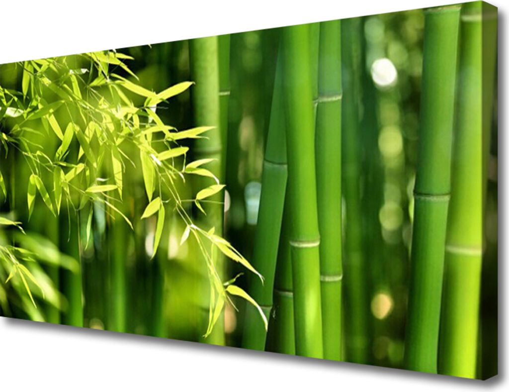 Tulup Leinwand-Bilder 100x50 Wandbild Canvas Kunstdruck Bambusrohre Blätter Pflanzen