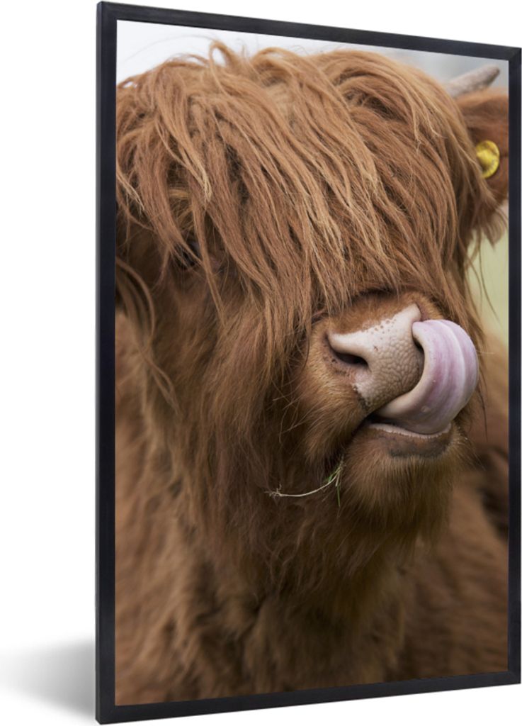 MuchoWow Gerahmtes Poster Schottischer Highlander - Braun - Tiere 40x60 cm - Poster mit Schwarzem Bilderrahmen Wandposter Rahmen Foto Bilder - Pa...