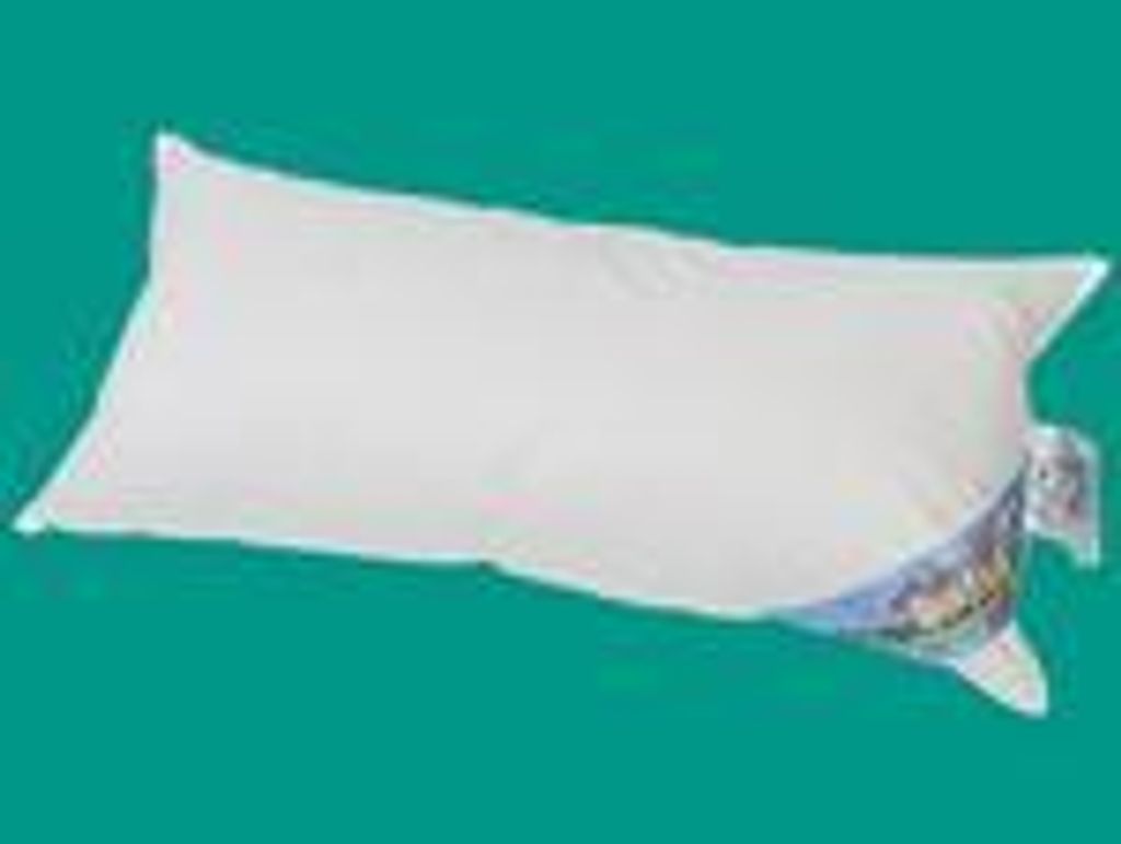 Kopfkissen 40x80 Schlafkissen Daunenkissen Federkissen 550g Produktbild 