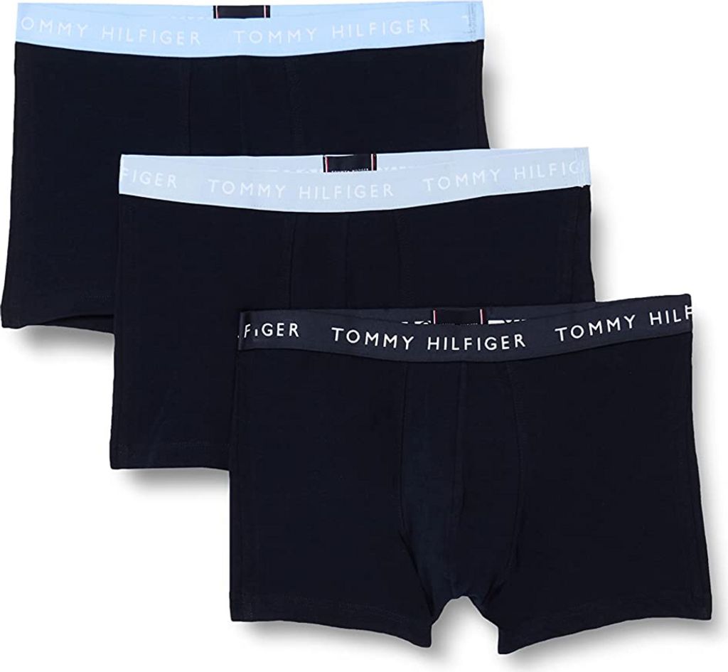 Tommy Hilfiger Boxer briefs UM0UM023240W4 in Blue color size small