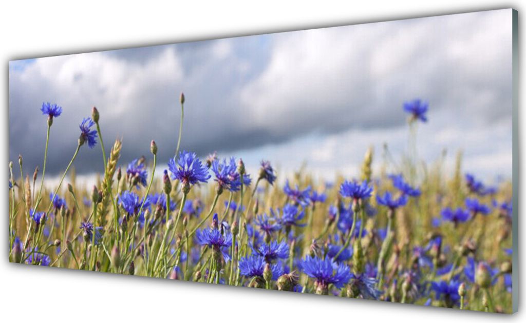 Küchenrückwand aus Glas 125x50cm Spritzschutz Blumen Pflanzen