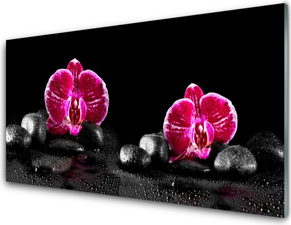 Küchenrückwand aus Glas 100x50cm Spritzschutz Blumen Steine Pflanzen