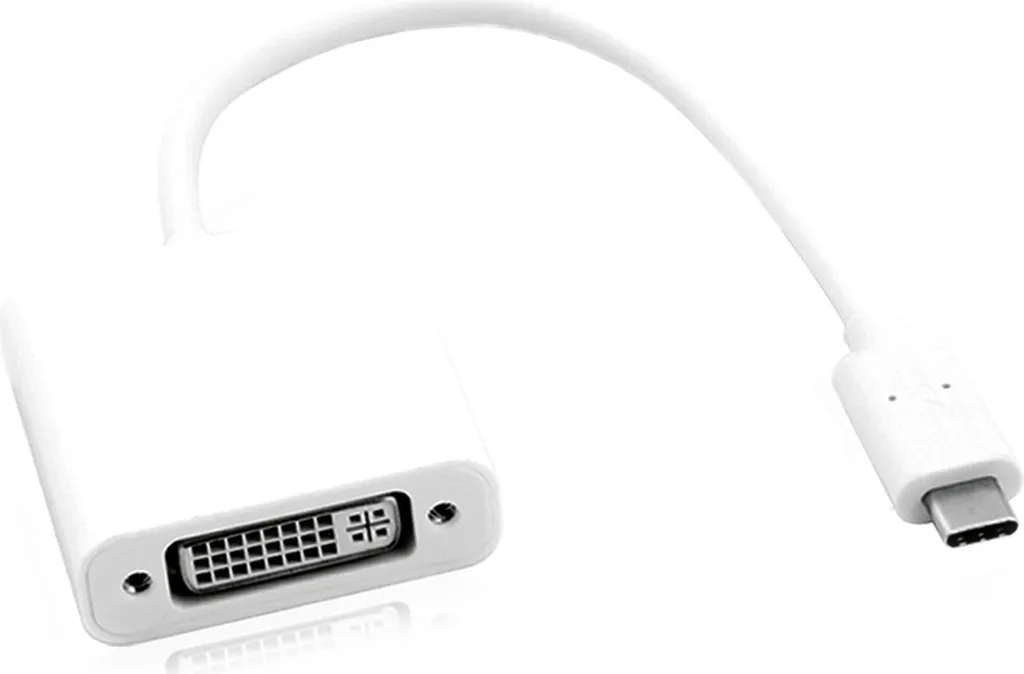 Adaptateur ROLINE USB-C vers DVI Noir - Connectique Vidéo Robuste et Fiable