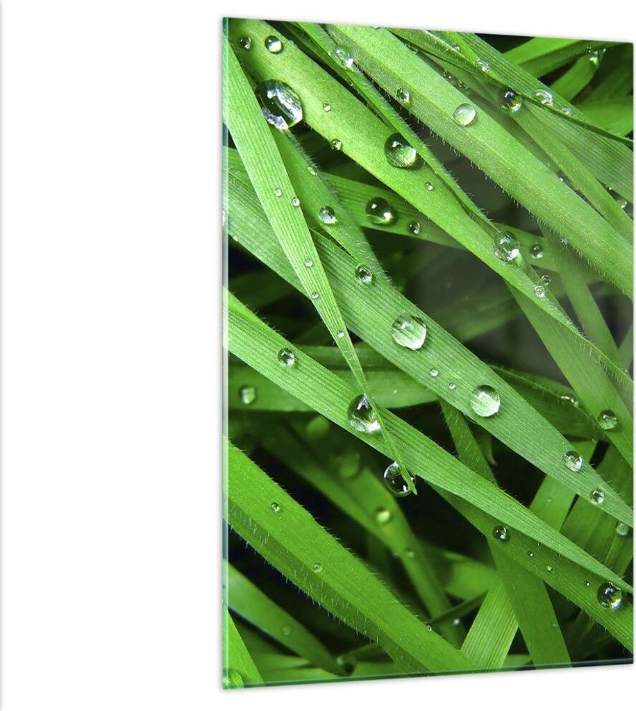 Bilder auf glas - Einteilig - Natur Gras Wasser Tropfen - 80x120cm - Glasbilder - Wandbilder - Bilder - Wanddekoration aus Glas - Glas Bilder - Wan...