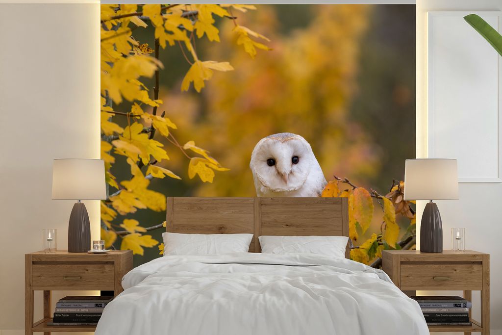 MuchoWow Fototapete für Wohnzimmer oder Schlafzimmer Wandtapete Vinyl Motivtapete Vogel - Eule - Herbst - 300x300 cm - Wanddekoration