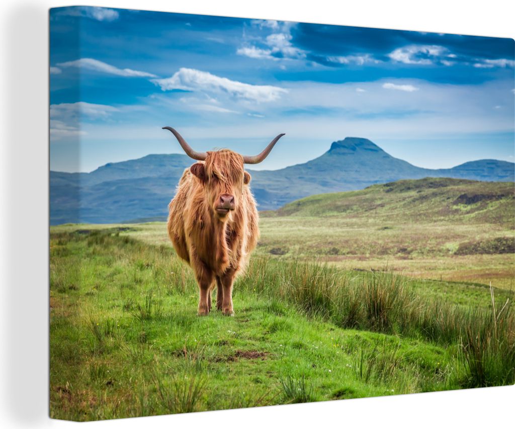 OneMillionCanvasses - Leinwandbilder - 150x100 cm, Kuh - Landschaft - Schottland, Wandbilder Kunstdruck Wanddekoration