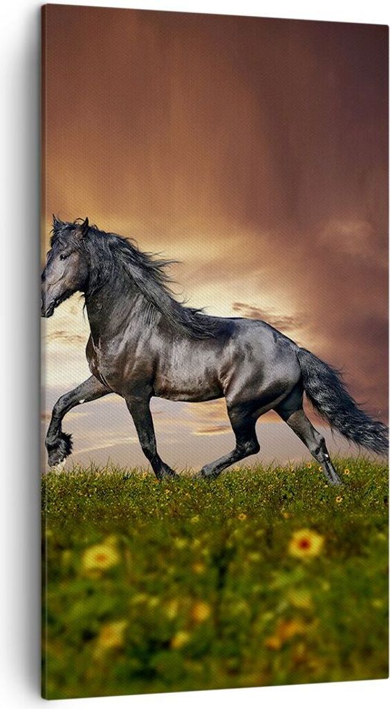 Bild auf Leinwand - Leinwandbild - Pferd Tier Wiese - 45x80cm - Wand Bild - Wanddeko - Wandbilder - Leinwanddruck - Bilder - Kunstdruck - Wanddekor...
