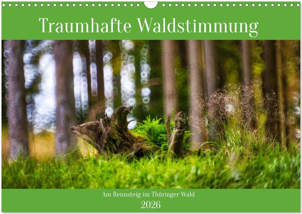 Traumhafte Waldstimmung am Rennsteig im Thüringer Wald (Wandkalender 2026 DIN A3 quer), CALVENDO Monatskalender