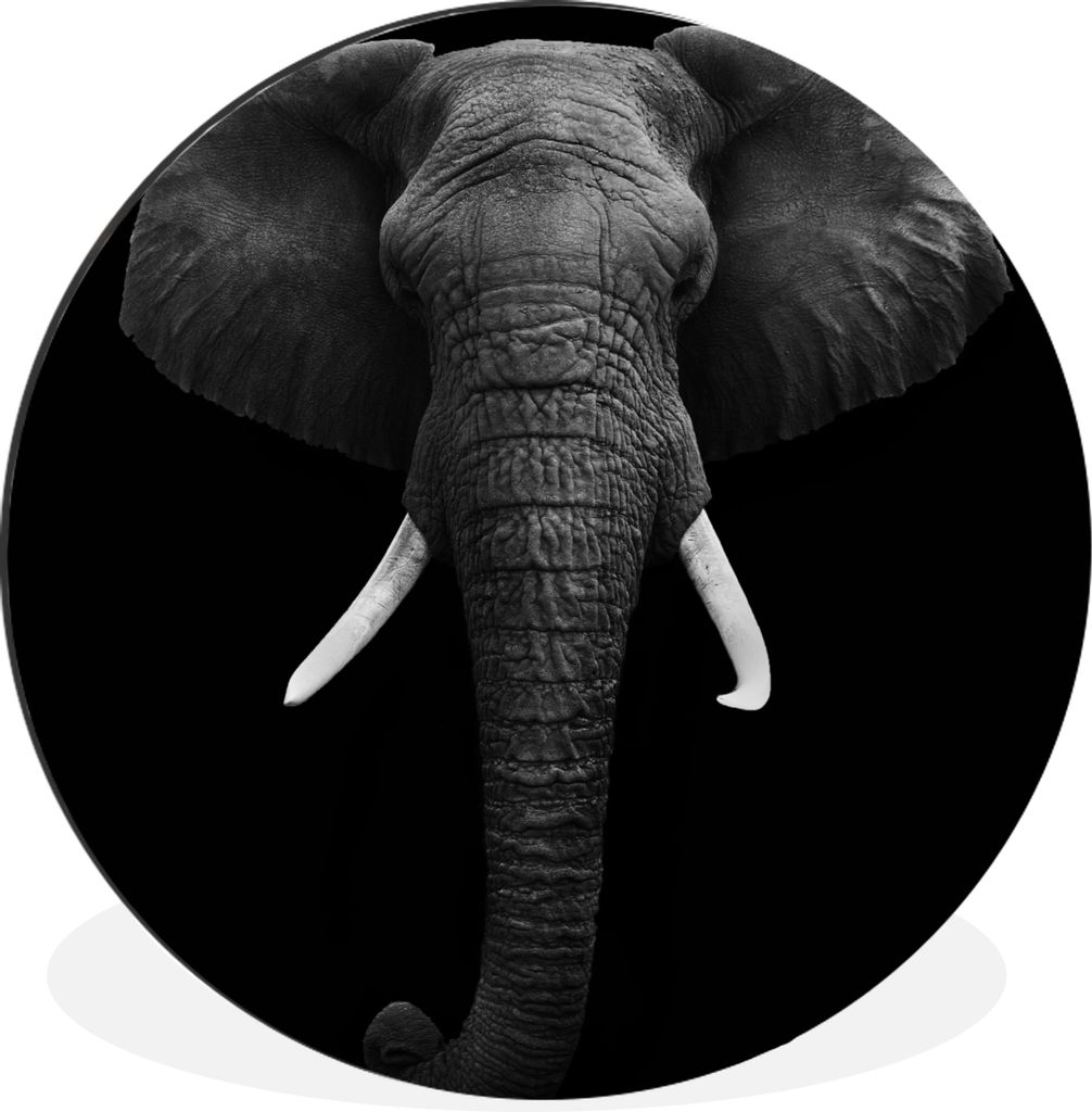 MuchoWow Aluminium Wandkreis Elefant - Wildtiere - Schwarz - Weiß - Porträt Ø 90 cm Wanddeko Modern Wohnzimmer - Mauerkreis - Wandbilder - Run...