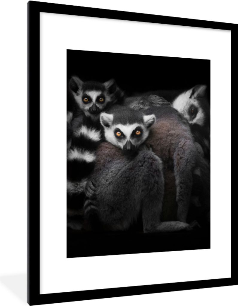 MuchoWow Gerahmtes Poster Tiere - Lemur - Schwarz - Weiß - Porträt 60x80 cm - Poster mit Schwarzem Bilderrahmen Wandposter Rahmen Foto Bilder -...