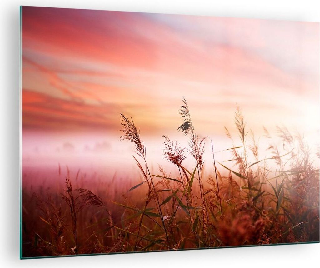 Bilder auf glas - Wiese Getreide Natur - 70x50cm - Glasbilder - Wandbilder - Kunstdruck - zum Aufhängen bereit - Wanddekoration aus Glas - Glas Bi...