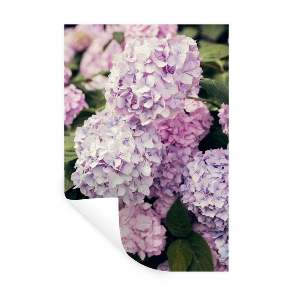 MuchoWow Wandtattoo Wandsticker Wandaufkleber Rosa Hortensie 20x30 cm Selbstklebend und Repositionierbar - Sticker - Dekorfolie