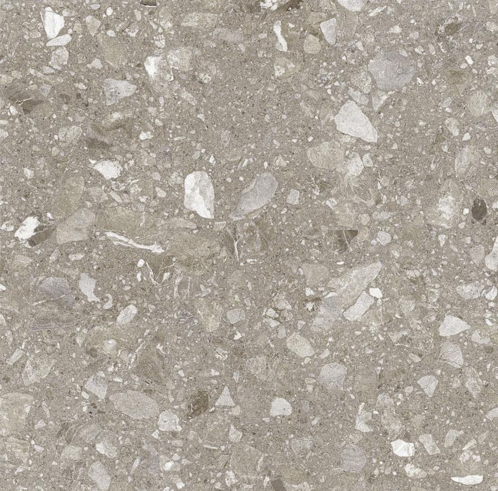 Bodenfliese Feinsteinzeug Terra 60 x 60 cm greige