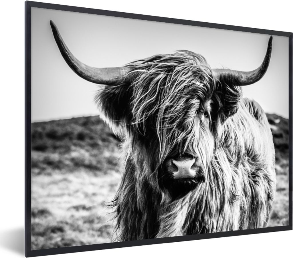 MuchoWow Gerahmtes Poster Schottischer Highlander - Natur - Kuh - Schwarz - Weiß 40x30 cm - Poster mit Schwarzem Bilderrahmen Wandposter Rahmen ...