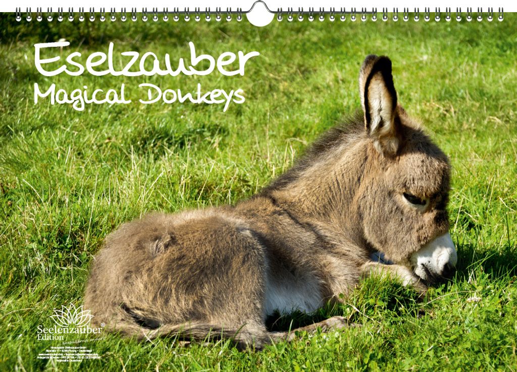 Eselzauber DIN A3 Kalender - Immerwährender Kalender Esel - Seelenzauber