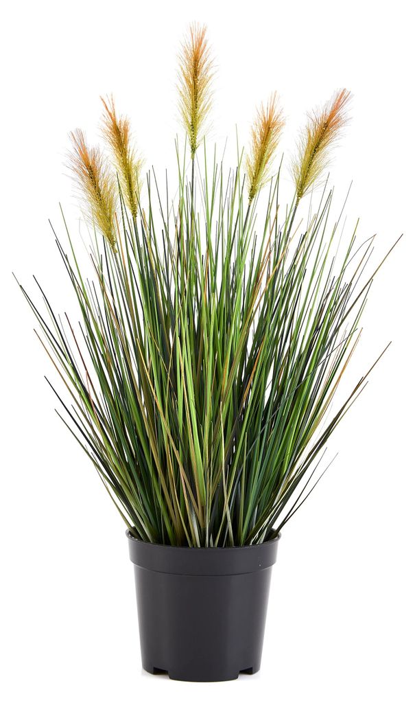 aplanta Künstliches Lampenputzergras – Orpheus | 45 cm, für drinnen, Kunstpflanze, wie echt, Allergiker geeignet, pflanzliche Dekoration Praxis...