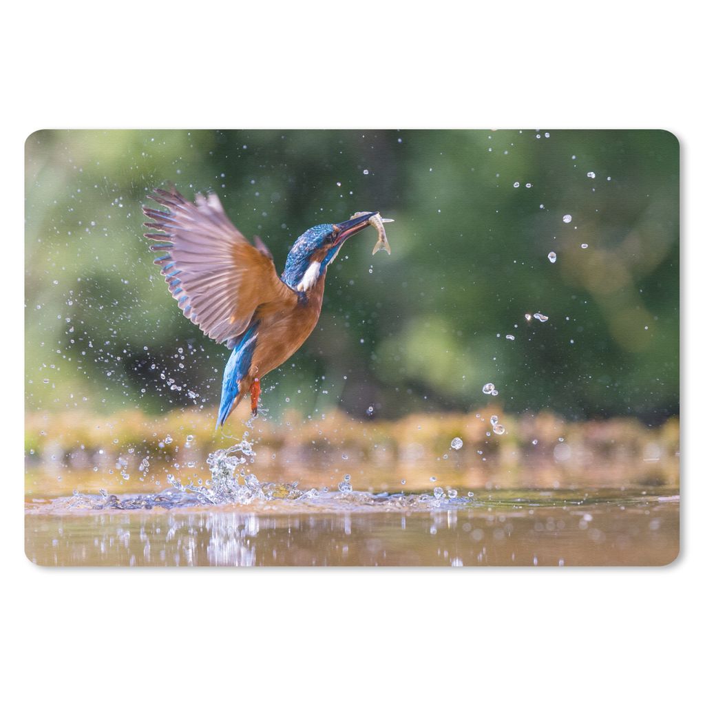 MuchoWow Schreibtischunterlage Fisch - Eisvogel - Flügel 60x40 cm - XXL Mauspad - Großes Mauspad