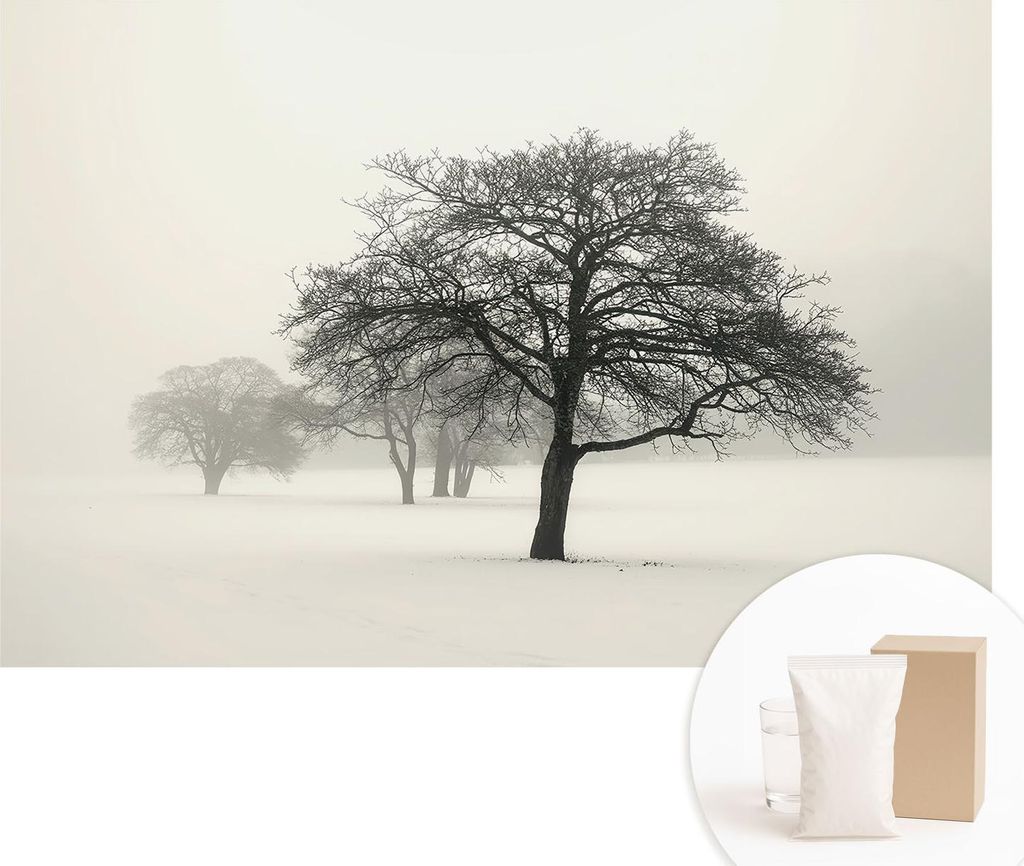 Fototapete - Wandbilder für Wohnzimmer - 104x70 cm - Dekorative Wandfolie - Modernes Design für Wanddekoration - Tapeten für Innenräume - Winte...