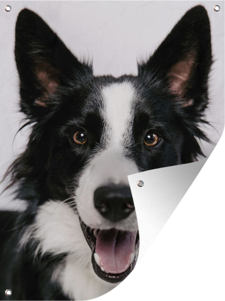 MuchoWow 30x40 cm Outdoor-Poster Gartendeko Sichtschutz Garten Poster für den Garten Fröhlicher Border Collie