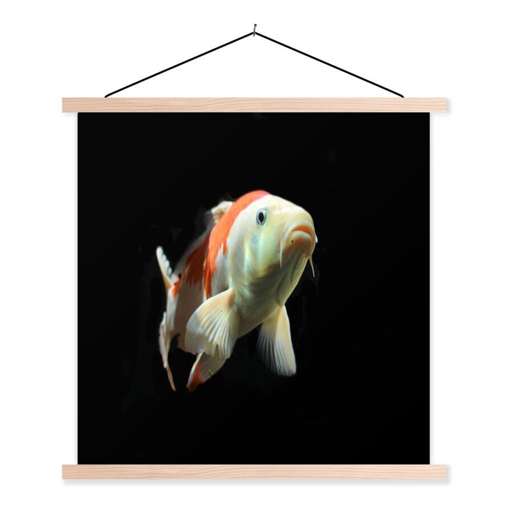 MuchoWow Textilposter Ein Koi-Karpfen mit orangefarbenen Details vor einem schwarzen Hintergrund 120x90 cm mit holzfarbenen Rahmen - Magnetisch