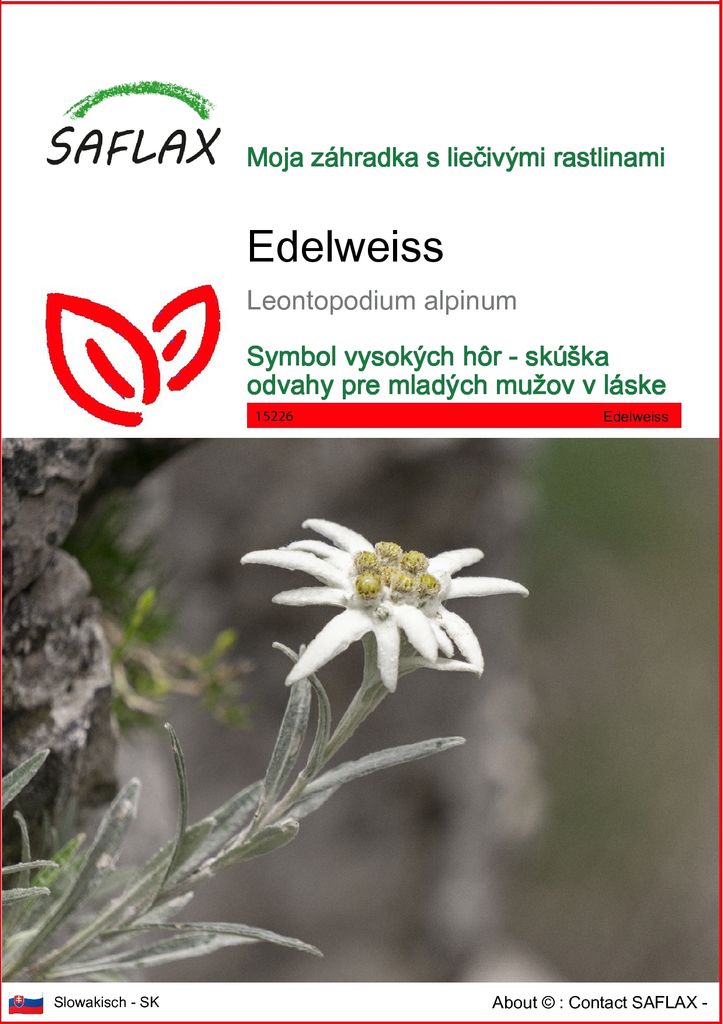 SAFLAX - Edelweiss - Leontopodium alpinum - 500 Semená Obrázok produktu 