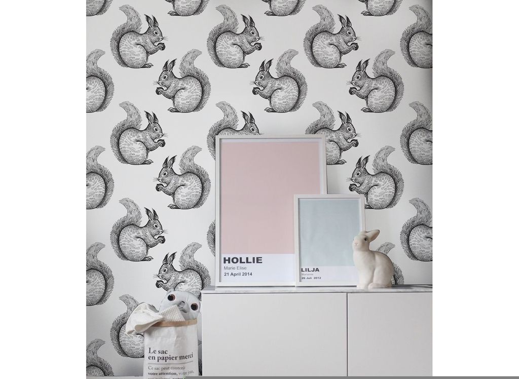 Coloray Fototapete 104x70 cm An Einer Wand Latex Latextapete - Eichhörnchen skizziert