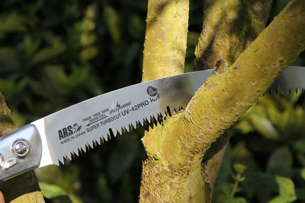 Scie ARS UV-42PRO 42cm : coupez sans effort les grosses branches d'arbre