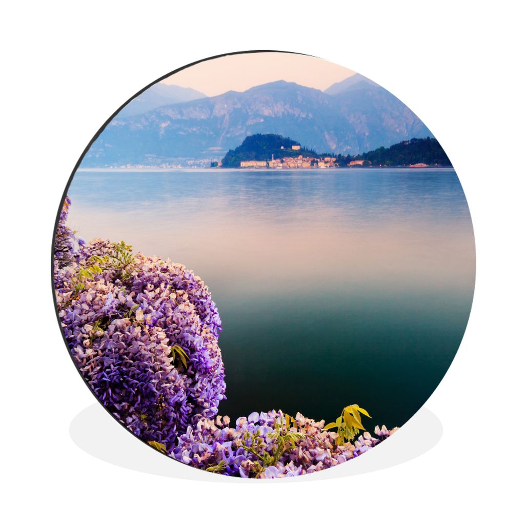 MuchoWow Aluminium Wandkreis Glyzinie bei Sonnenuntergang Ø 30 cm Wanddeko Modern Wohnzimmer - Wand Bild - Wohnzimmer - Runde Bilder - Alubilder...