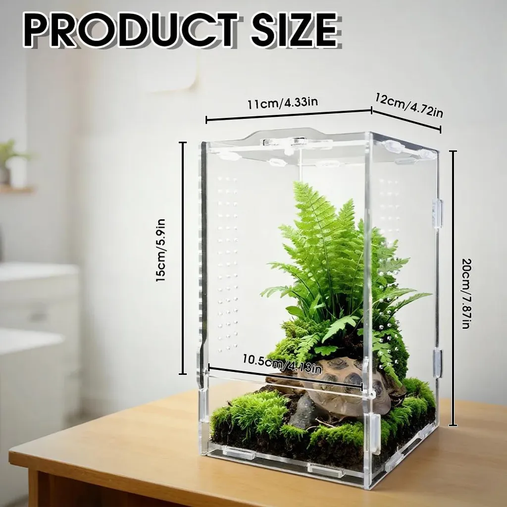 Anti-Évasion : Terrarium en Acrylique Sécurisé pour Petites Araignées S