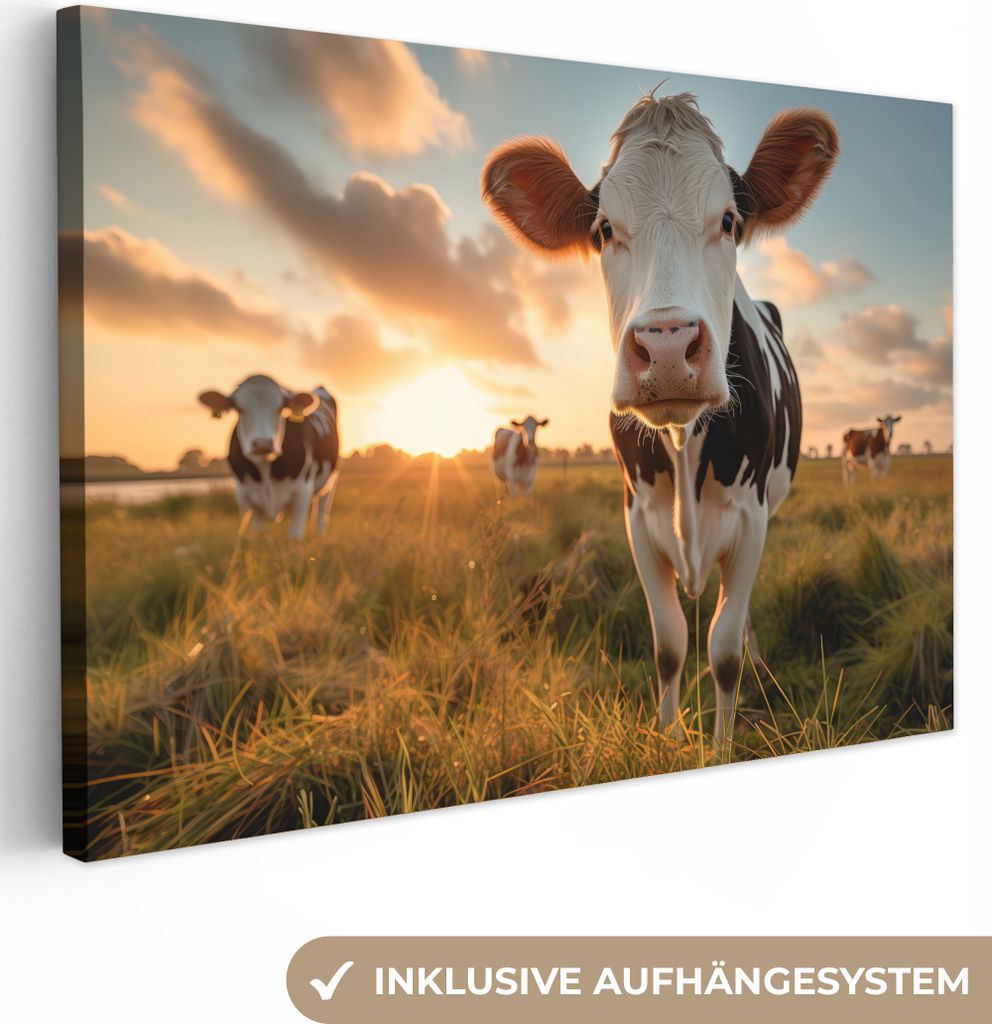 MuchoWow - Leinwandbilder - Kuh - Wiese - Tierportrait - Natur - Kühe, Wandbild, Wanddeko Bilder Wohnzimmer, 60x40 cm