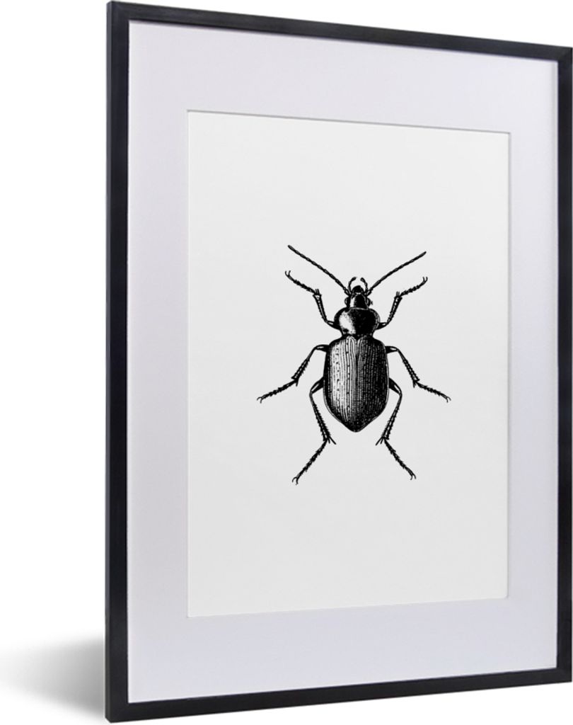 MuchoWow Gerahmtes Poster Käfer - Tiere - Vintage - Schwarz und weiß 30x40 cm - Poster mit Schwarzem Bilderrahmen Wandposter Rahmen Foto Bilder...