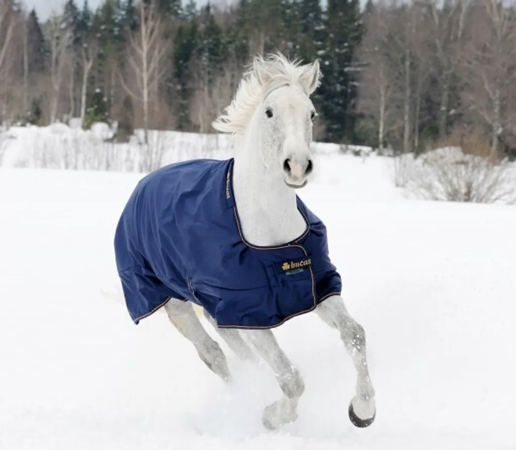 Couverture d'Hiver pour Cheval 300g Imperméable Irish Turnout 130