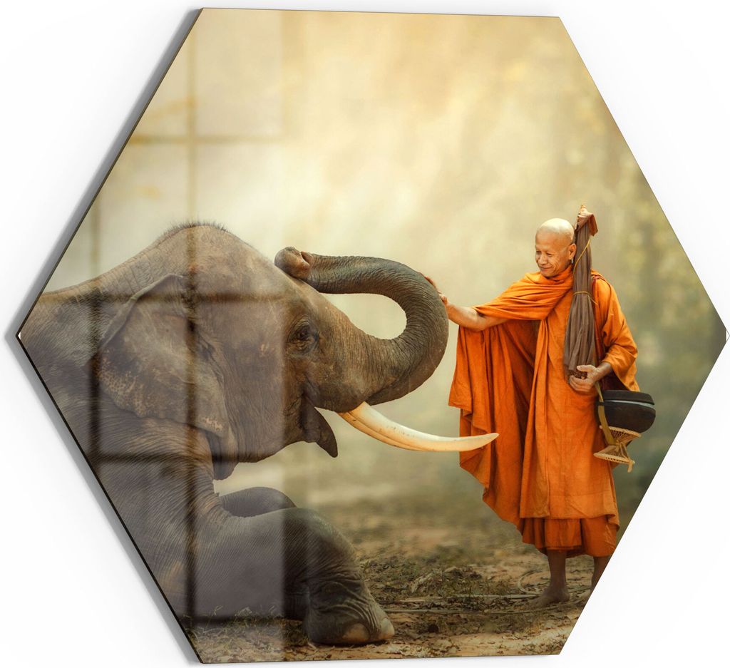 DEQORI Glasbild Echtglas 55x48 cm 'Buddhist berührt Elefant' Wandbild Bild modern Deko