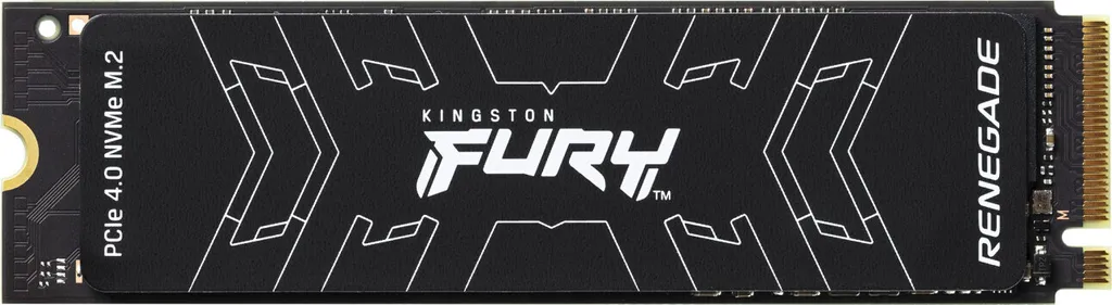 Kingston FURY Renegade SSD 500 Go M.2 2280 NVMe PCIe 4.0 Haute Vitesse