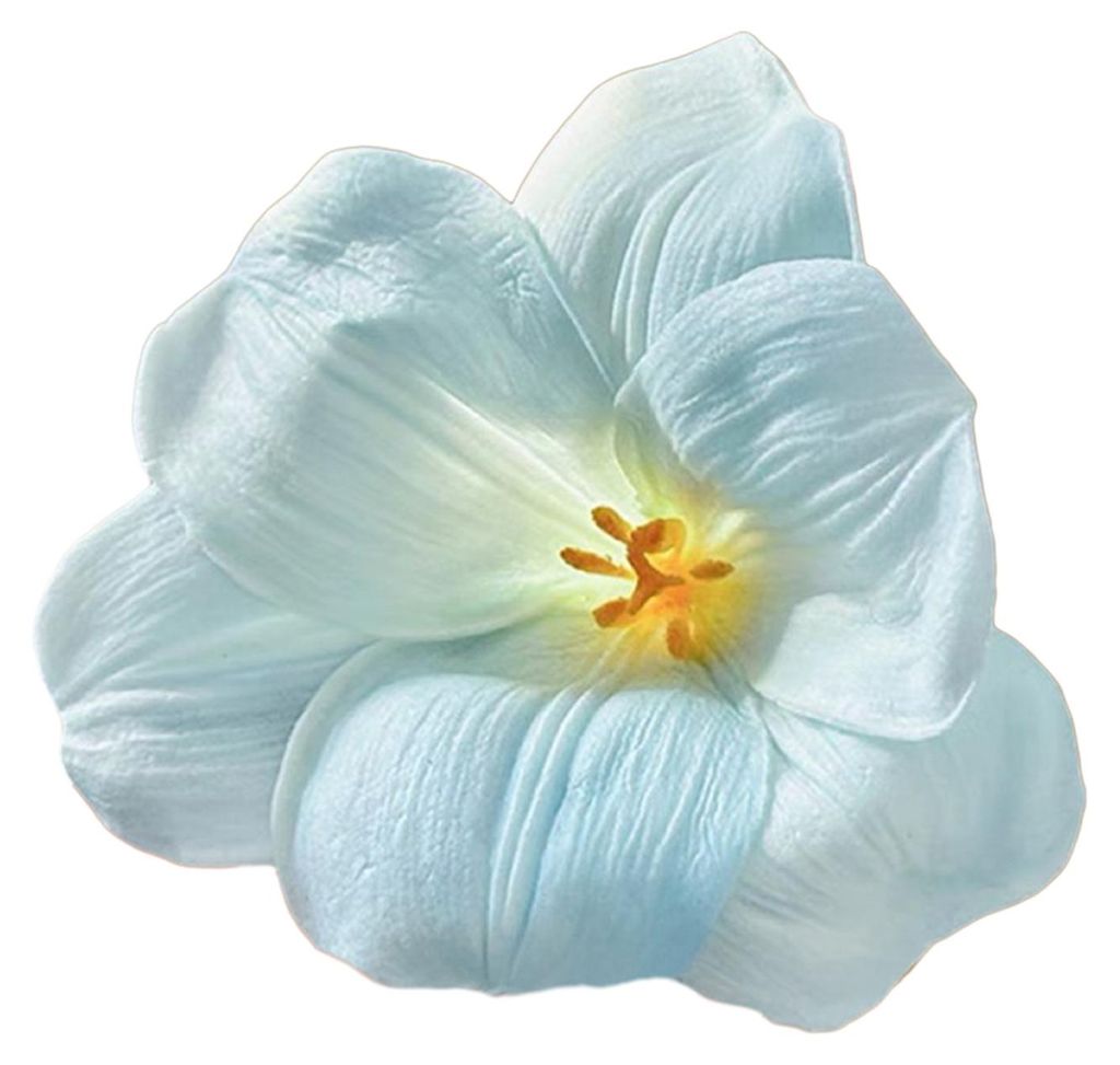 Haarspange mit künstlicher Blume, seitlicher Pony, Haarclip für Damen, Alltags-, Party- und andere Anlässe, Haarschmuck