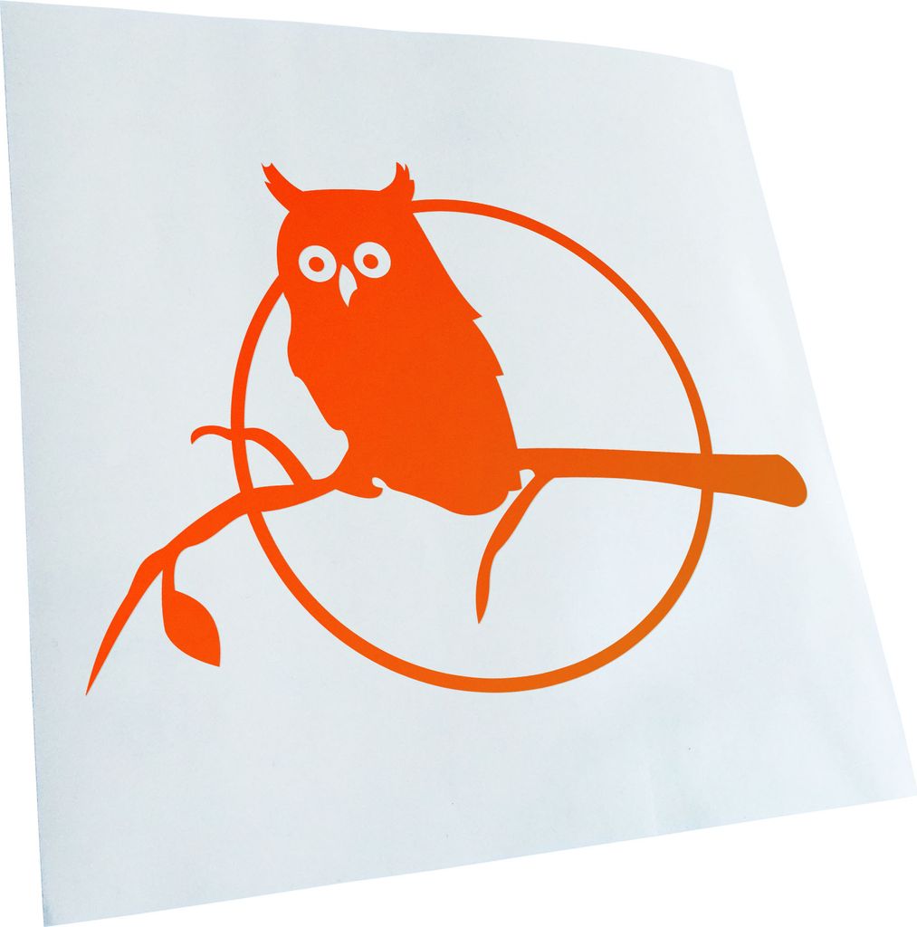 hauptsachebeklebt Kiwistar - Autoaufkleber - Eule auf einem AST - Owl on a Branch Heckscheibe - Aufkleber für Auto Kfz Fahrrad, LKW, Truck Mofa