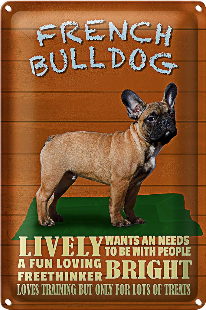 Blechschild Spruch 20x30cm French Bulldog Hund lively