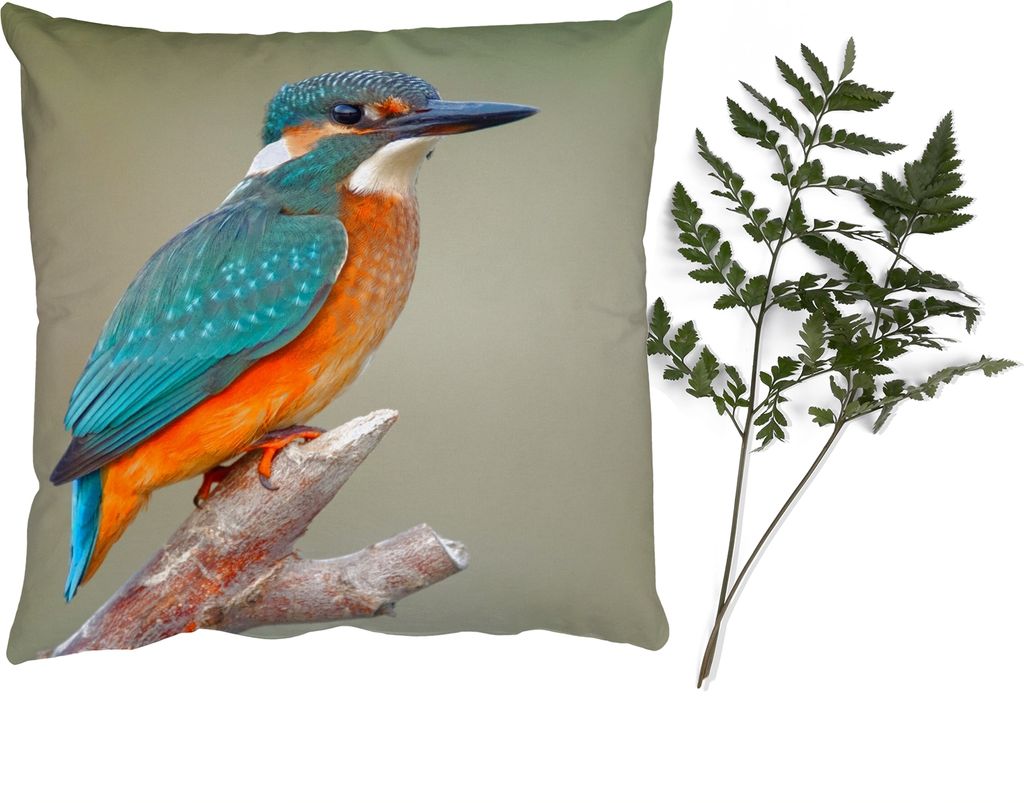 MuchoWow Zierkissen Sofakissen Wohnzimmer Dekokissen 50x50 cm Vogel - Eisvogel - Zweig - Komfort - Sofakissen