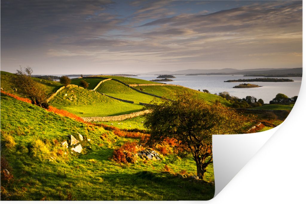 MuchoWow - Wierderverwendbar - Selbstklebend