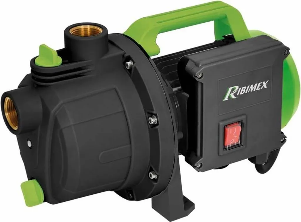 Pompe à eau de surface auto-amorçante Ribimex PRJET41P 600W de qualité