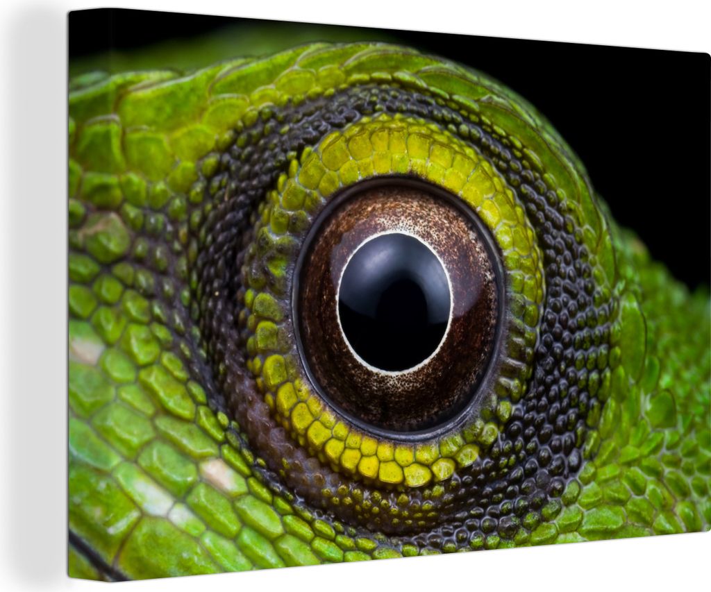 OneMillionCanvasses - Leinwandbilder - 140x90 cm, Augen - Reptil - Grün, Wandbilder Kunstdruck Wanddekoration