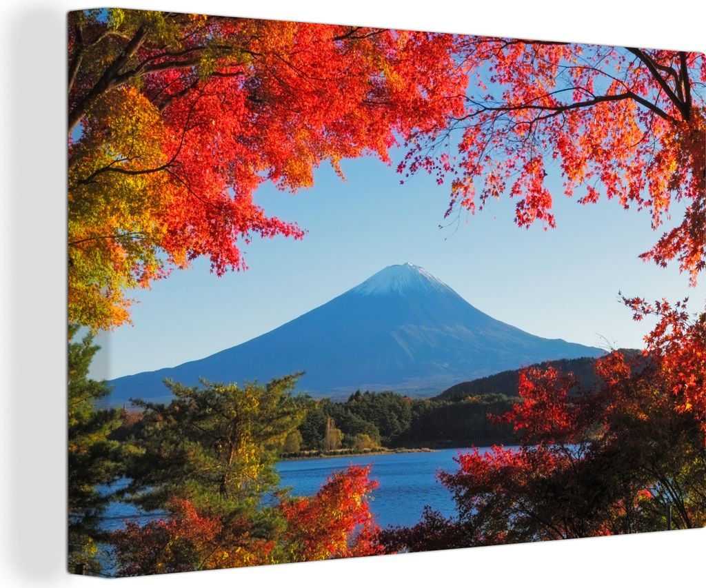 MuchoWow - Leinwandbilder - Japanische Ahorne für den Berg Fidschi, Wandbild, Wanddeko Bilder Wohnzimmer, 120x80 cm