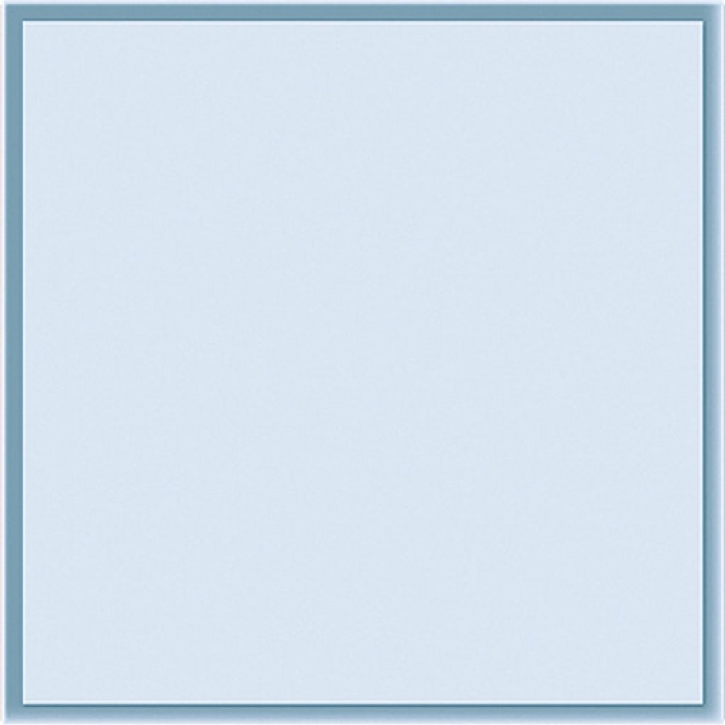 GIRA 126400 Zubehör für elektrische Schalter (126400)