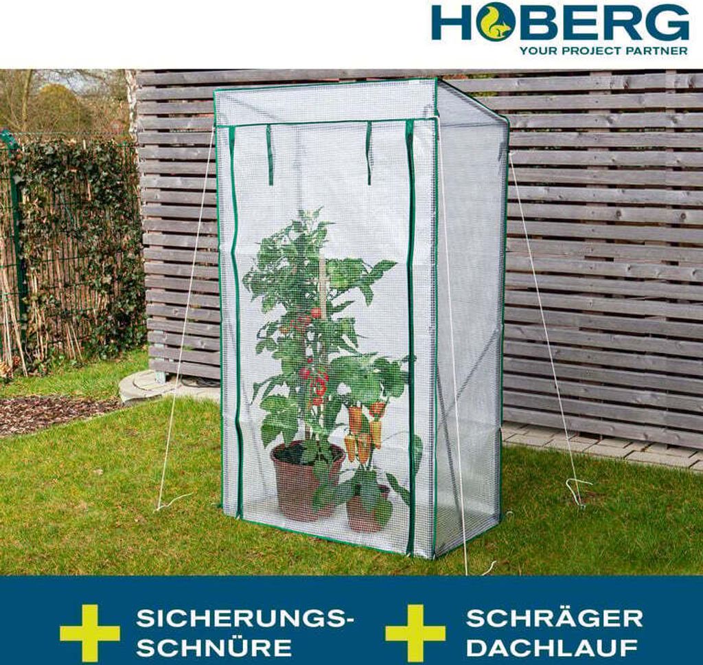 Hoberg Folien-Gewächshaus Treibhaus & Tomatenhaus Garten Produktbild 4