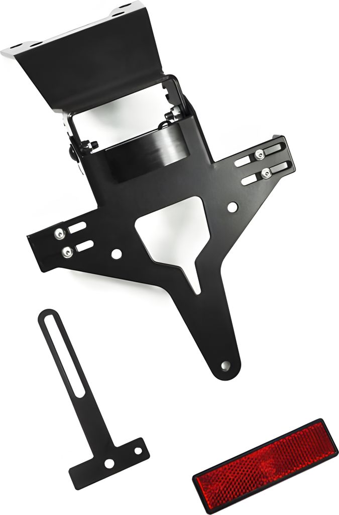 ZIEGER Kennzeichenhalter kompatibel mit Triumph Speed Triple 1050