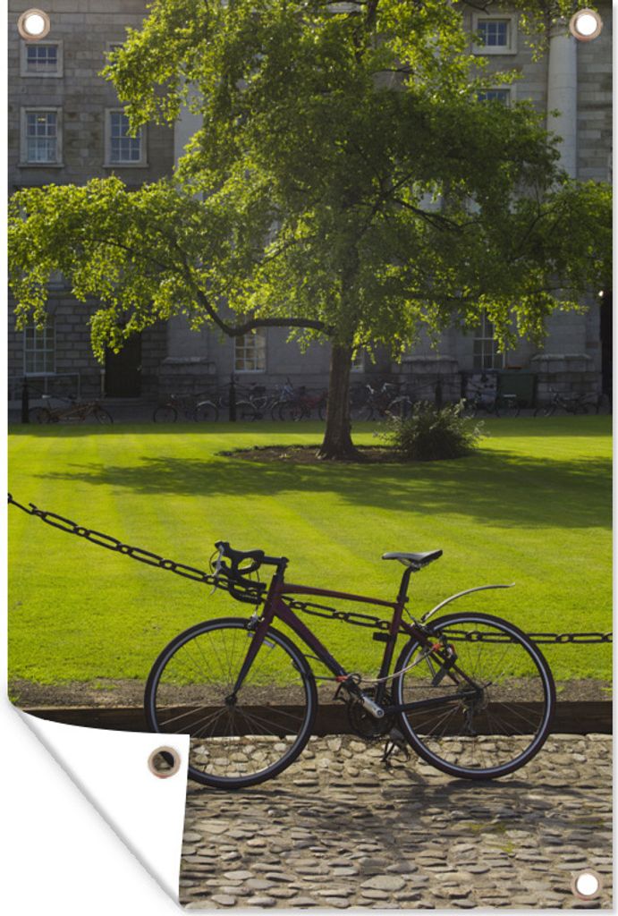 MuchoWow 80x120 cm Outdoor-Poster Gartendeko Sichtschutz Garten Poster für den Garten Ein Fahrrad für ein Feld am Trinity College
