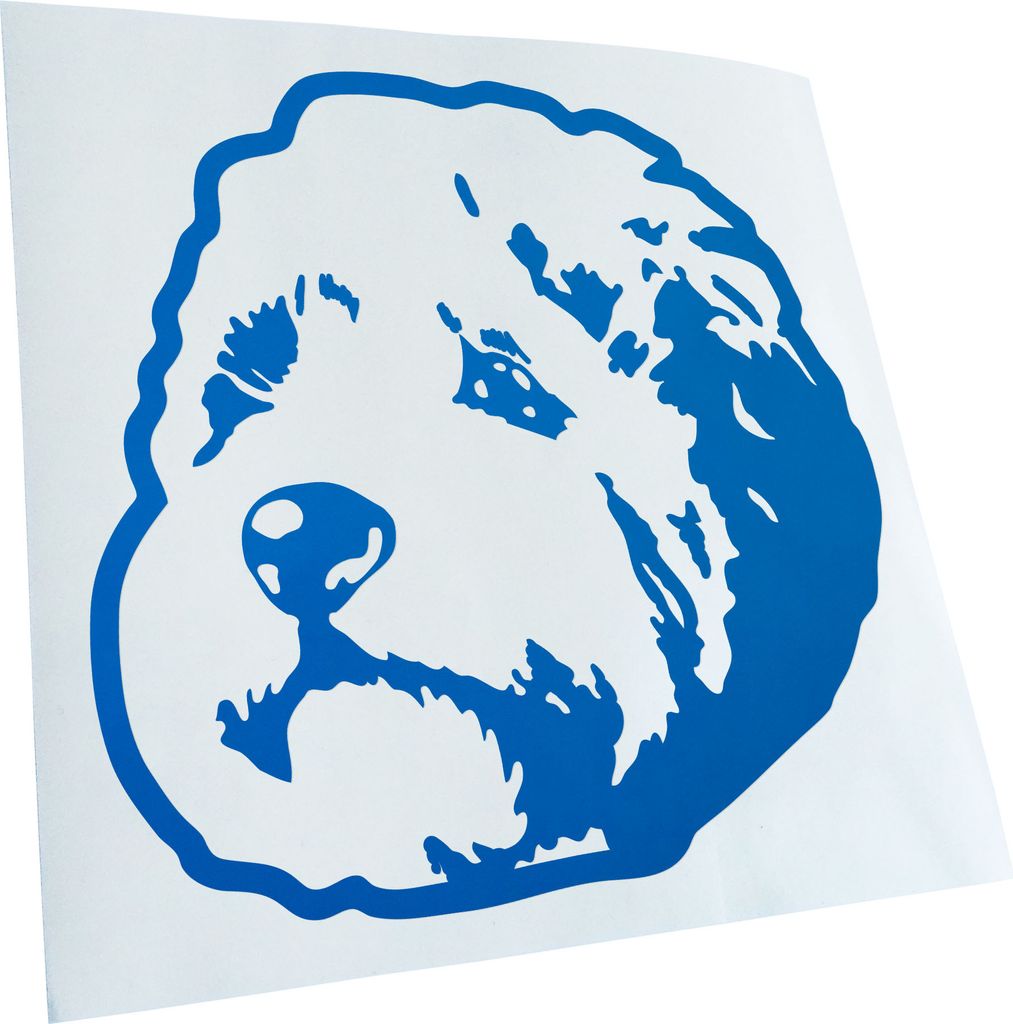 Kiwistar - Autoaufkleber - Cockapoo Hund - Blau - 40x40cm - Aufkleber für Auto, Laptop, Fahrrad, LKW, Motorrad mehrfarbig JDM Decal Racing