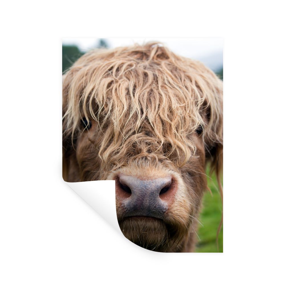 MuchoWow Wandtattoo Wandsticker Wandaufkleber Schottische Highlander - Gras - Wald 30x40 cm Selbstklebend und Repositionierbar - Sticker - Dekorf...