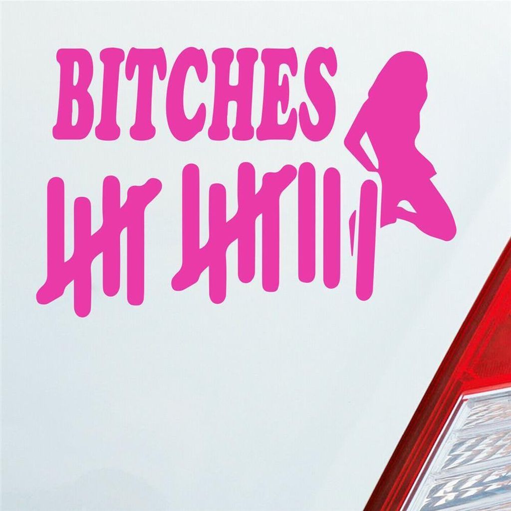 Auto Aufkleber Strichliste Bitches Tally List Frau PKW 15x9 cm Pink Sticker Heckscheibenaufkleber