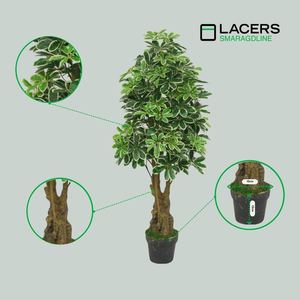Lacers SMARAGDLINE pflegeleichte künstliche Schefflera – Strahlenaralie 130cm - realistische Optik, Dekoration für Wohnzimmer, Balkon und Büro...